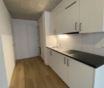 Apartment,1,25 - Foto 2