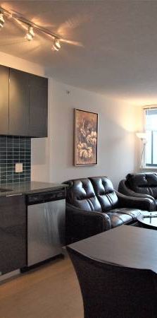 Pet Allowed -Available November 1st -Furnished 1 Bedroom@ 1325 Rolston - Photo 1