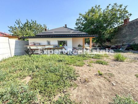 CASA PARTER-ULTRACENTRAL-OTOPENI-PRIMA INCHIRIERE - Fotografie 5