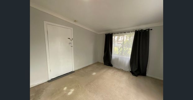 3 Renfree Street, Forbes NSW 2871 - Photo 1