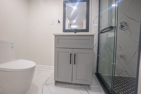 For Lease - 89 Emerald Coast Trail Unit# Bsmt, Brampton, Ontario - Photo 4