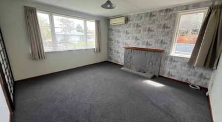 THREE BEDROOM - HOKOWHITU - Photo 2