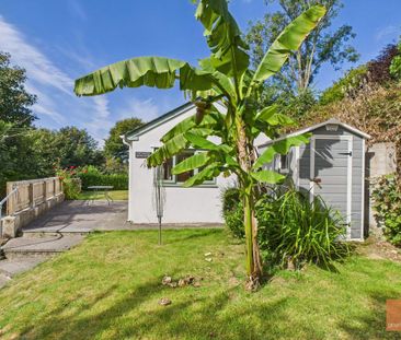 1 bedroom detached bungalow to rent - Photo 6