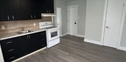 3 ½ À LOUER À SHERBROOKE – 995 $ - Photo 2