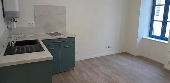 Location appartement 1 pièce - 24.76m² à Brioude (43100) - Photo 2
