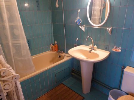 Location Appartement 1 pièce Meublé 28m² BORDEAUX 33800 - Photo 3