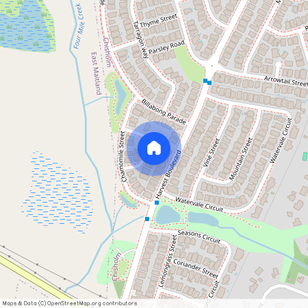 15 Sage Crescent, Chisholm, NSW 2322