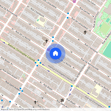 6964, Rue De La Roche, Montréal (Rosemont/La Petite-Patrie)