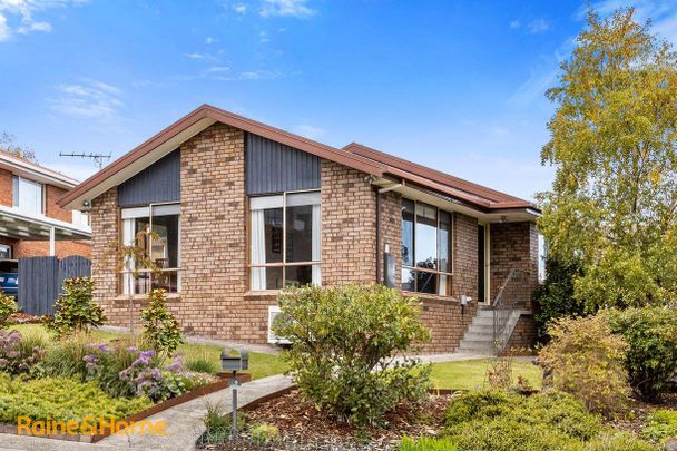 "Neat and Tidy 3 Bedroom Home + Sunroom!" - Photo 1