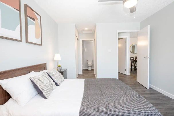 Polo Club Apartments — One-Bedroom Suite - Photo 1