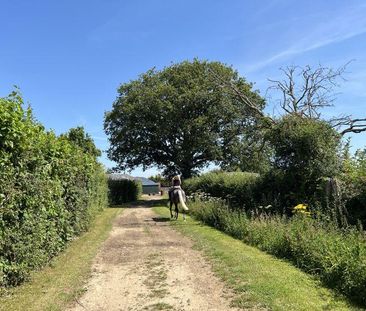 2 bedroom cottage to rent - Photo 6