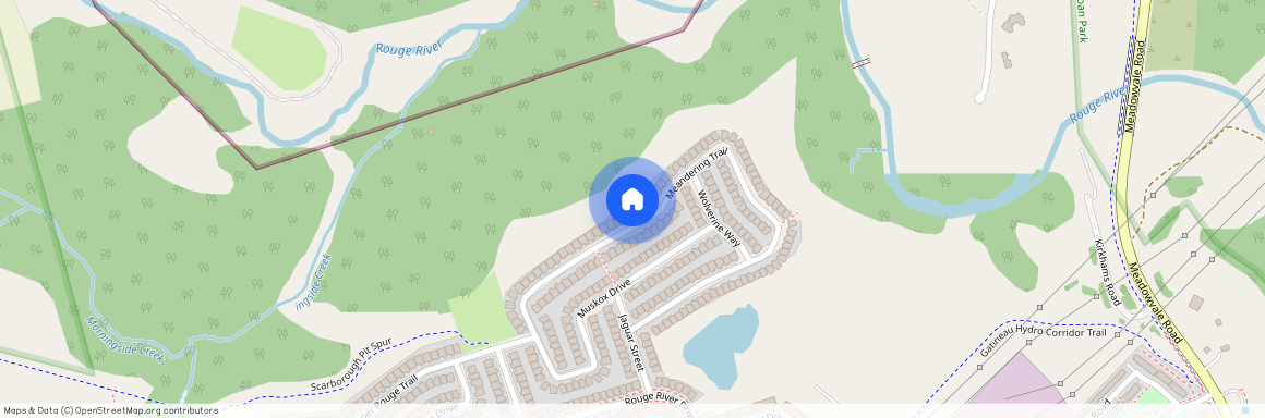 46 Meandering Trail, Toronto