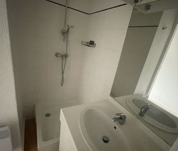 Appartement T1 meublé en location à RAMONVILLE ST AGNE - Photo 4