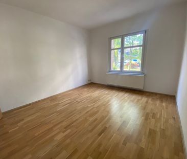 1-Raum-Wohnung im Erdgeschoss zu vermieten - Photo 1