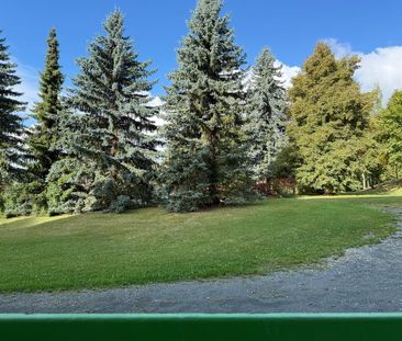 3-Raum-Wohnung mit Einbauküche - Photo 2