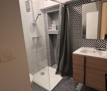 Location Appartement 1 pièce 18m² MONTPELLIER 34090 - Photo 4