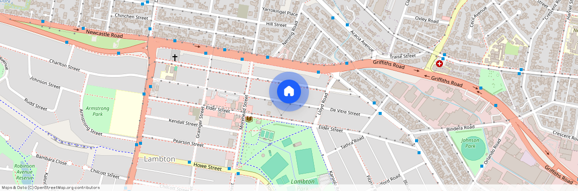 52 De Vitre Street, NSW 2299, Lambton