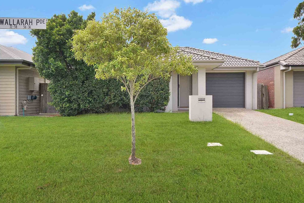 56 Wallarah Parade, North Lakes QLD 4509 - House For Rent - $635 | Domain - Photo 1