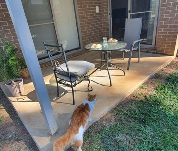 Port Macquarie - Photo 2