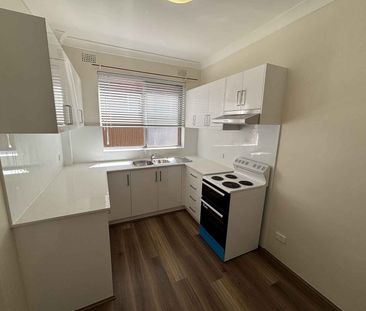 1/5 Dunmore Street Croydon Park - Photo 2