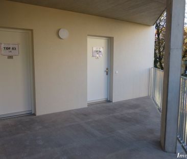 Vollmöblierte 2-Zimmer-Wohnung zur befristeten Kurzzeitmiete (6 Mon... - Foto 4
