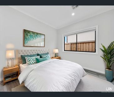 House for Rent- 6 Cavia Place Donnybrook ! - Photo 6