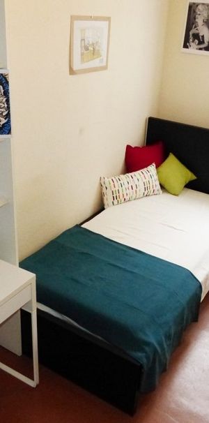 Location Appartement 1 pièce 15m² GRENOBLE 38000 - Photo 1