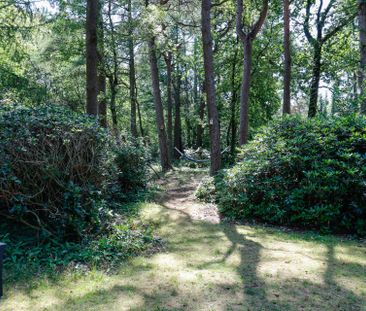 Beschrijving Hoge Vuurseweg - Photo 4