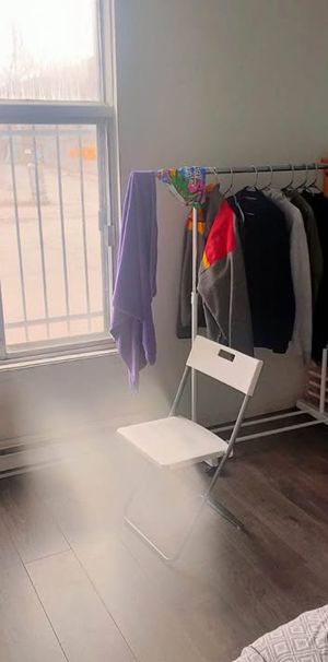 Mile-End - Beau 5 1/2 Au Rez De Chaussée - Photo 1