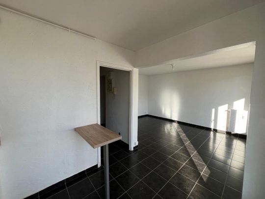 APPARTEMENT T1 A LOUER A LE COTEAU - Photo 1