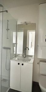 Location Appartement 1 pièce 13m² REIMS 51100 - Photo 3