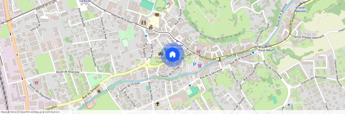 1880, Les Posses-sur-Bex, Ruelle Du Marché, 14