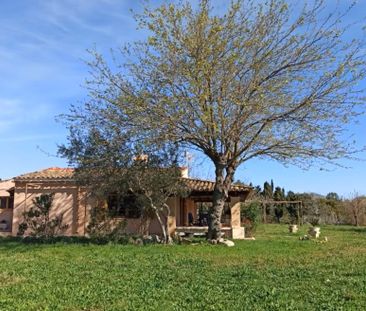 Diseminado Poligono 3, 490A, 07470, Illes Balears, Spain, Pollença,... - Photo 6