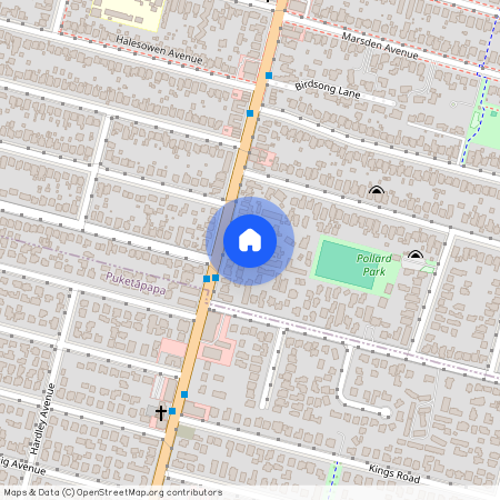 876C Dominion Road, Mount Eden, Auckland City