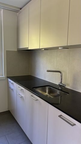 Komfortable 4.5 Zimmer Wohnung in Brugg - Photo 3