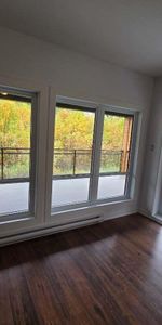 Grand 5 1/2 Avec Vue Direct Sur le Fleuve - Photo 3