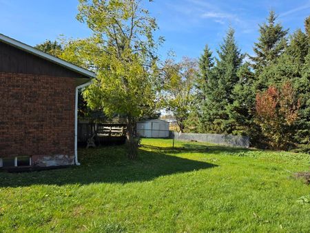 For Lease - 248 Young Street, New Tecumseth, Ontario - Photo 3