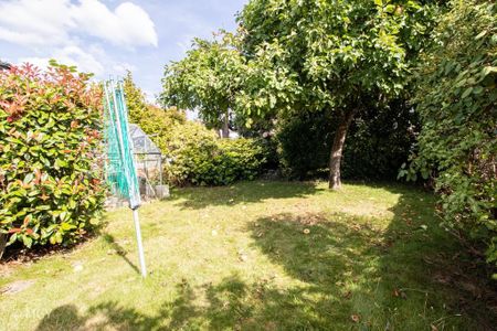 3 bedroom semi-detached house to rent - Photo 4