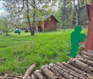 Kvarsebo Kolvik, Kolmården - Foto 4