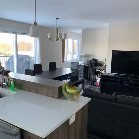 🏡 Superbe 5½ sur deux étages avec vue sur la rivière – Saint-Hyacinthe (secteur Douville) - Photo 4