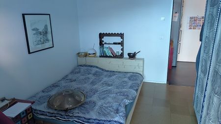 Für Katzenliebhaber in Zürich - Kreis 6, möbliert, auf Zeit - Photo 4