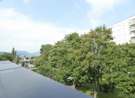 MODERNE 1-ZIMMER-WOHNUNG | SONNIGE TERRASSE | PERFEKTES ZUHAUSE ZUM WOHLFÜHLEN - Foto 4
