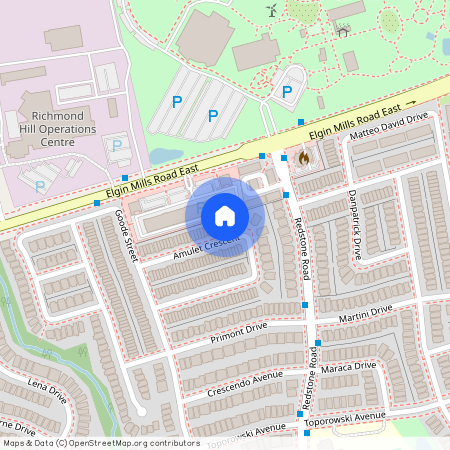 111 Amulet Crescent, Richmond Hill