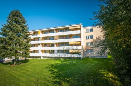 Rent a 3 rooms apartment in Hinwil - Photo 3