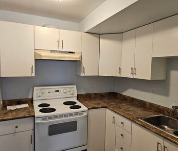 Ground Level Suite - Photo 6