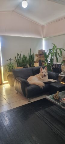 Upper Mount Gravatt - Photo 5