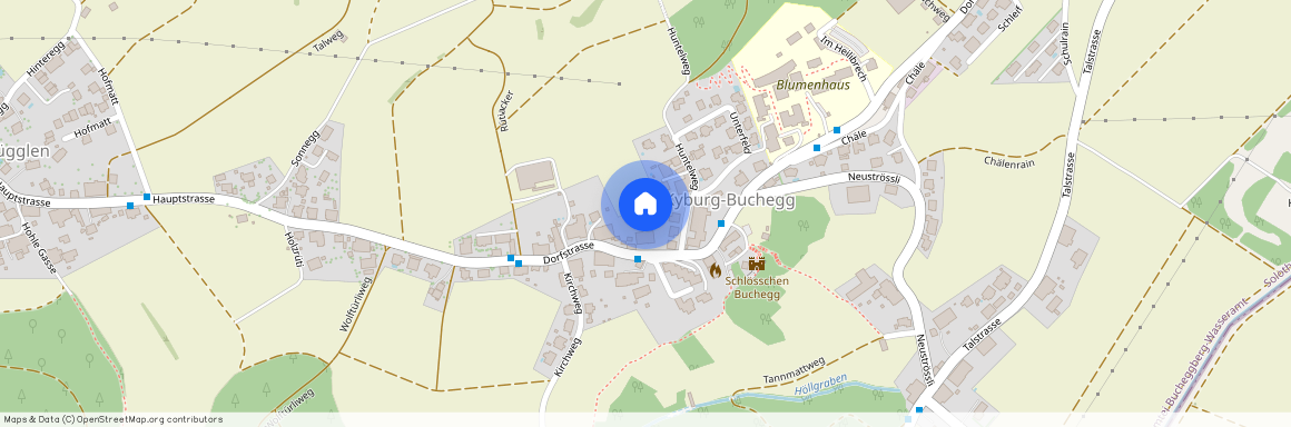 4586, Kyburg-Buchegg