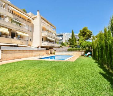 Calvià - Photo 5