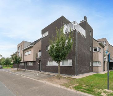 Appartement te huur Kalken - Foto 3