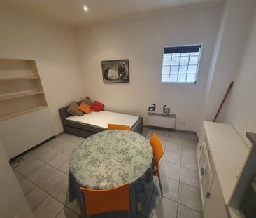 Location Appartement 1 pièce 19m² ST SYMPHORIEN D OZON 69360 - Photo 1